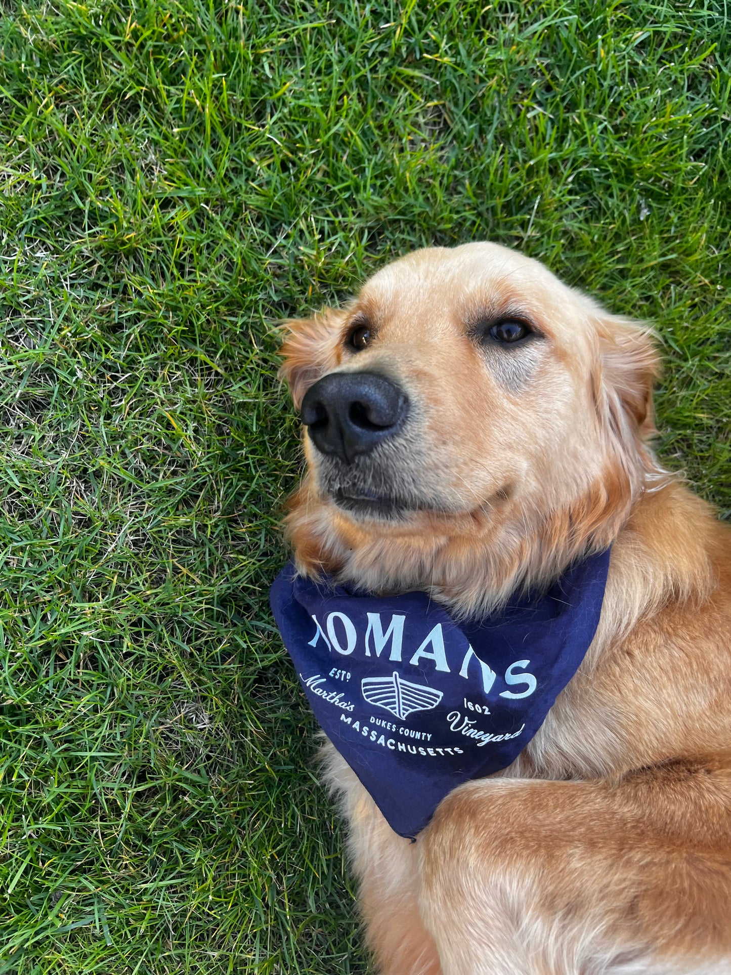 Nomans OG Logo Dog Bandana