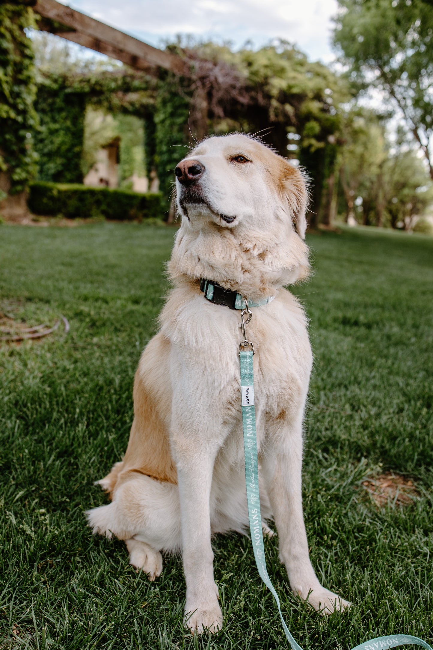 Nomans Pet Leash