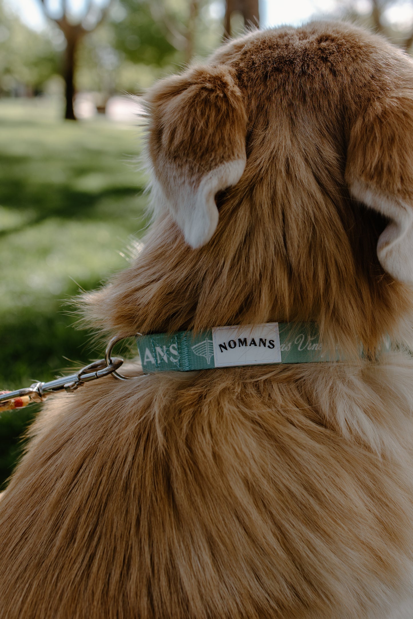 Nomans Pet Collar